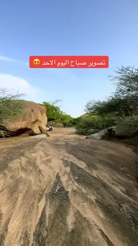 تصوير اليوم 