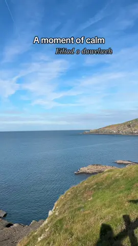 Find peace in the little things 🤍 Dewch o hyd i heddwch yn y pethau bach 🤍 #momentofcalm #calmtok #chucklinggoat #coast #dailycalm 