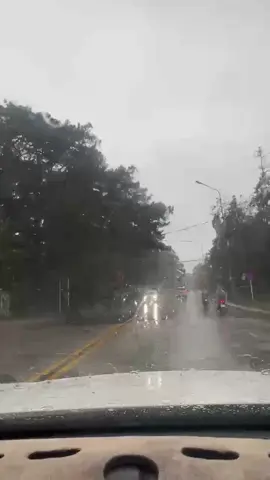 Đà Lạt hôm nay ngày 16 tháng 11 2025#xu hướng