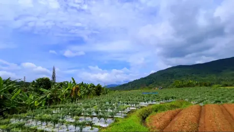 Kamera Ultra wide Infinix note 40 Pro Max 🍃🌤