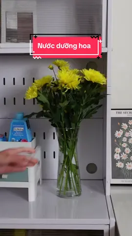 Thêm 1 nắp này vào bình mà giữ cho hoa tươi lâu hơn, nước cũng không có mùi hôi khó chịu nữa | Nước dưỡng hoa Dr.Natro | Nhân check #review #nhancheck 