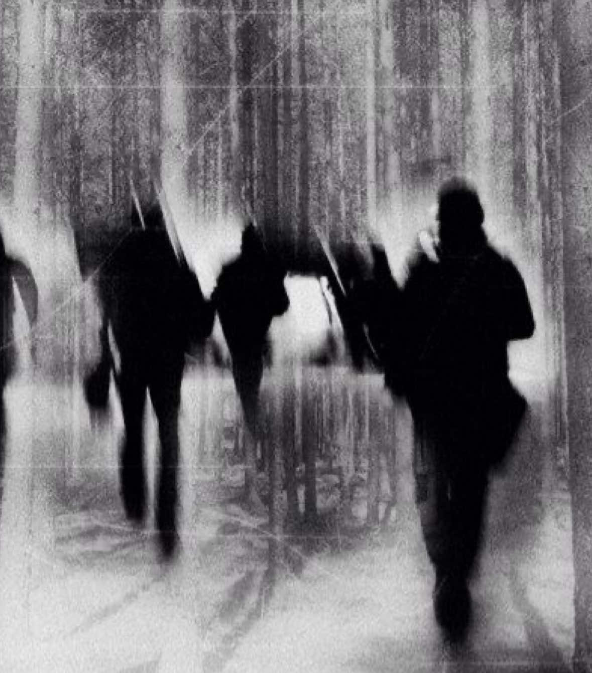 Your peace exposes their intentions. #ascendro 