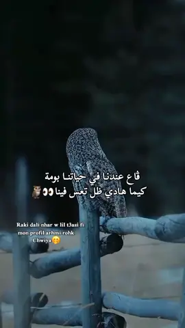 #สปีดสโลว์ #สโลว์สมูท #couplestiktok #capcutvelocity #foryou 