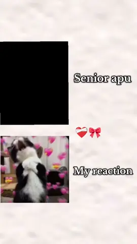 Senior apu @Sonaira Nur  #tiktok #foryoupage #fffffffffffyyyyyyyyyyypppppppppppp #trending #foryou 