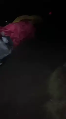 merbabu 16 November, masih aman kah? #fyp #beranda #foryoupage #merbabuviagancik 