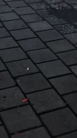 bikin canduu🥶 #sithomas🥶 #variomodifikasi #vavarioan #vario125 #vario150 #masukberandafyp #fyp #xyzbcafypシ #xyzbca #foryoupage #berandafypシ #fypシ 