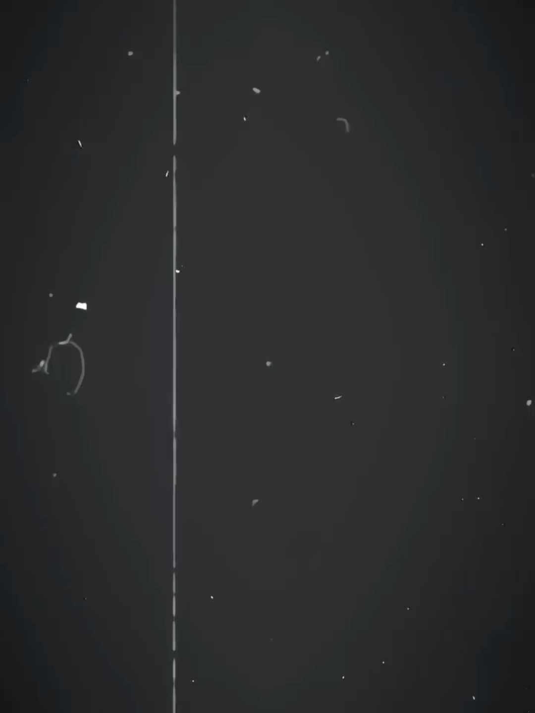 yang ngak like jomok 😹😹( am prem dm/biyo) #elitecees🥴🤙 #freefire #satpamloby😜👊🏻 #jjtipis2clan #jagoancs #presetalightmotion #presetdibawah5mb #preset #presetxml #presetdibawah5mb🎟️ #prsetxml #fyppppppppppppppppppppppp #sb #sbcaper #bismillahfyp #xcyzba #jjepep #4uu #foryoupage #katakataepep