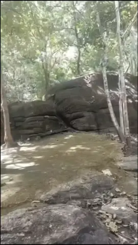 #maymantailocseden #