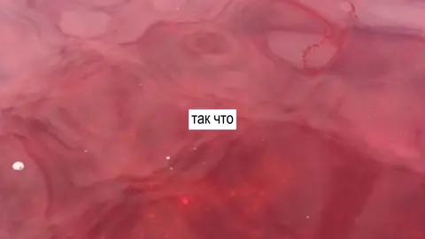 тгк с песнями: @serosong #lyrics #lyricssong #song #hazbinhotel #hazbin #хазбин #отельхазбин #рози #аластор #dontyouforget 