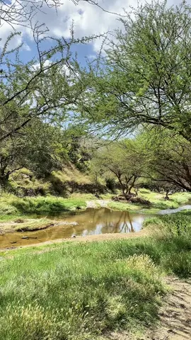 #بحرالنقاء #اكسبلورexplore #باحتنا_الجميله🇸🇦😘 #شعر_وقصائد  