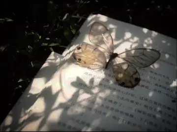 Có Anh Đây + Anh Ơi Anh À ...  #coanhday #有我呢 #anhoianha #你啊你啊 #xuhuong 