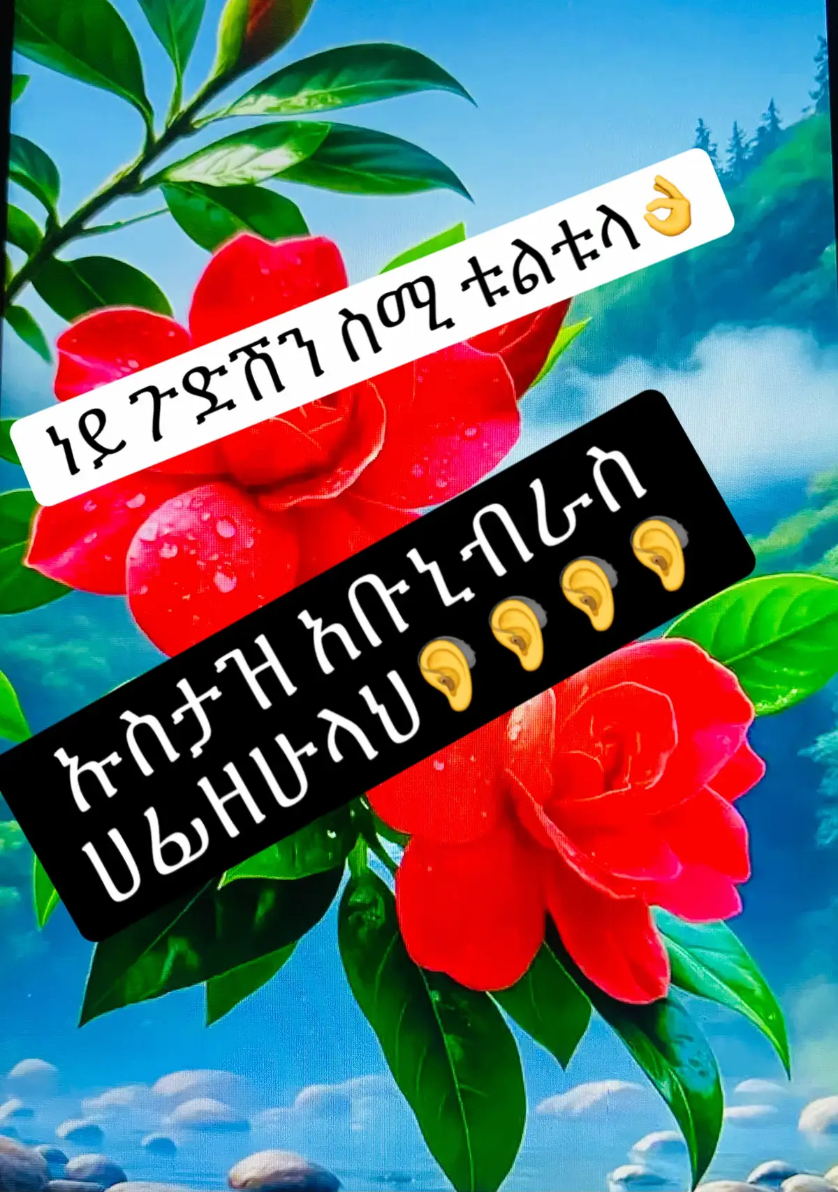 ምክር በኡስታዙና🥀🥀🥀