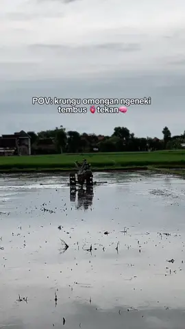 🫁#teamngiwomadangmaidobayaran #teamngiwomadang #fyppppppppppppppppppppppp #petanimuda #anakewongtani 