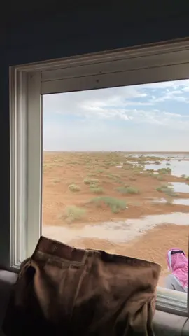 #الوسم #fyp #الابل #تصىويري📸 #a 