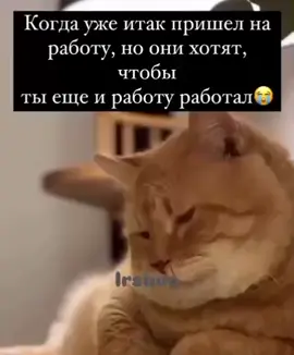 #работа #семья #отношения #любовь❤ #жиза #многодетная #мысли 