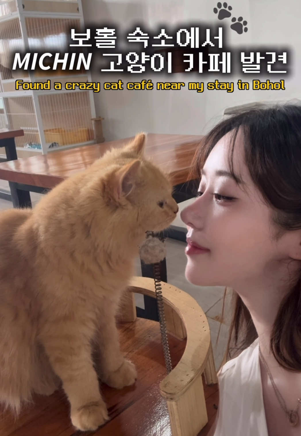 천국이었다🐾 #bohol 