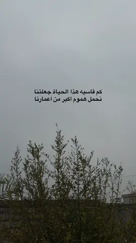 #fyp #foryou #viral #تصويري📷 #تصويري_احترافي_الاجواء👌🏻🕊😴 