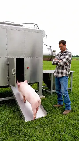 #trending #viralvideo #fyp #growmyaccount #foryou 