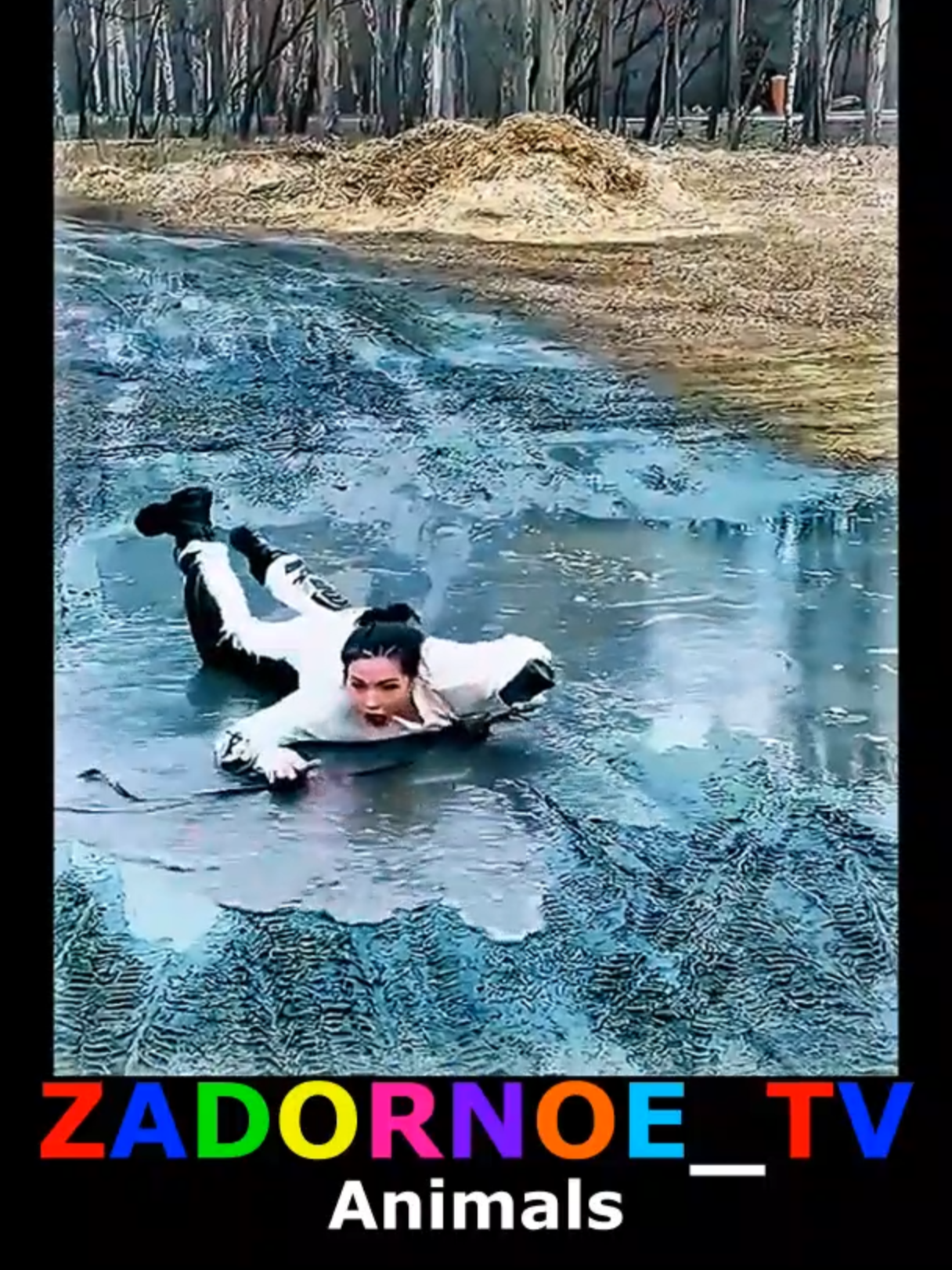 Гуляем до упаду! #животные #подборка #прикол #Задорноетв #озвучка #ржака #юмор #animals #humor