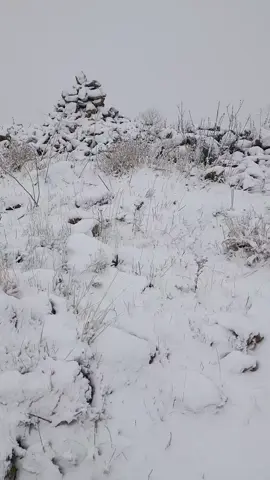 #aramtigran #aydilbere #karayazı #kankalesi#