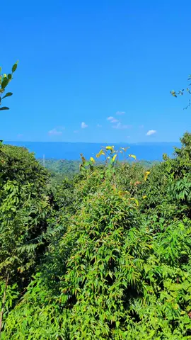 পাহাড়ের সৌন্দর্য,অনেক সুন্দর একটা জায়গা 🌿🌿🥰🩷 #Foryou #foryoupage #netural #tiktok #viralvideo 