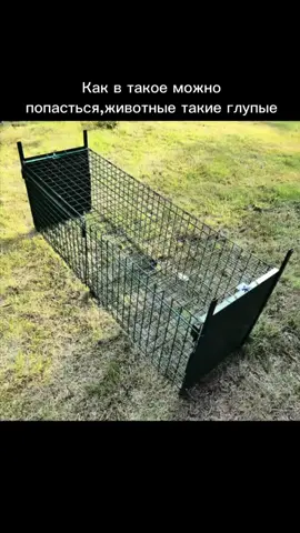 Тяжёлый люкс — дело такое. Можно легко попасть в этот капкан. Чтобы вы не попадались, приезжайте в Автопарк ЮА и выбирайте только проверенные машины. #автопаркюа #автопарк #продажаавто #автоодесса #авторынок  @АВТО ОДЕСА @Autopark.ua 