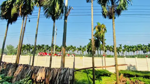 কোন জেলায় সবার আগে শিত পরে আর ঠান্ডা বেশি হয়  #viral #newtrend #video #tiktok #foryou 