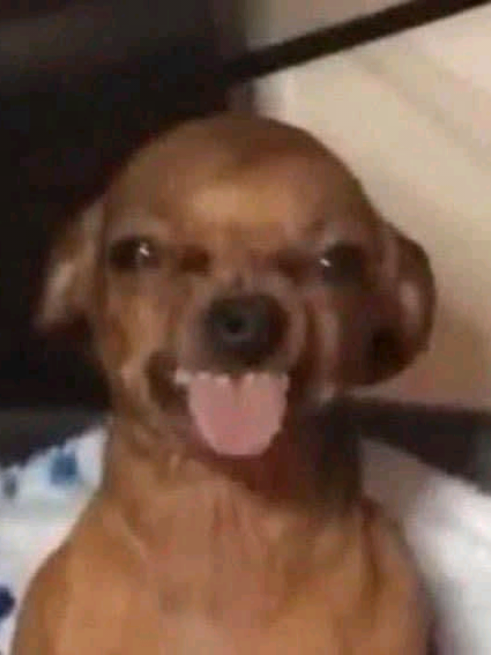 বয়স টাই উত্তেজনার😄#fyp #fyppppppppppppppppppppppp #the_light_society⚡ #h4xsparow #am_editors_bd 