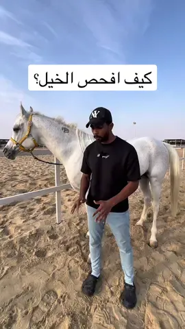 شرح كيف تفحص الخيل حتى لو أنت مبتدئ 😍 #اسطبلات_خط_الرياض #خيل #خيل_خيالة #اكسبلور #ترند #الدمام #الخبر