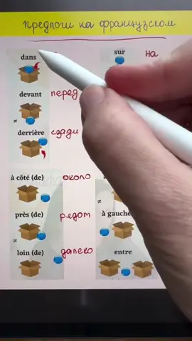 Если вы хотите легко выучить французский, напиши tg:sonriesses, это бесплатно.😊#учитьфранцузский #учитьфранцузскийлегко #франция 