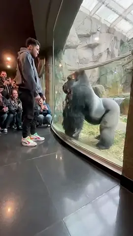 #Welcome to Gboard clipboard, any text that you copy will be saved here.