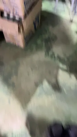 နားငြီးတယ်ကွာ🫨 #fyp #fyppppppppppppppppppppppp #foryoupage #beatbox 