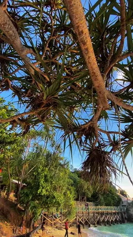 #lagumandar #majenesulawesibarat😍😍 #fyppppppppppppppppppppppp #pantaidatomajene 