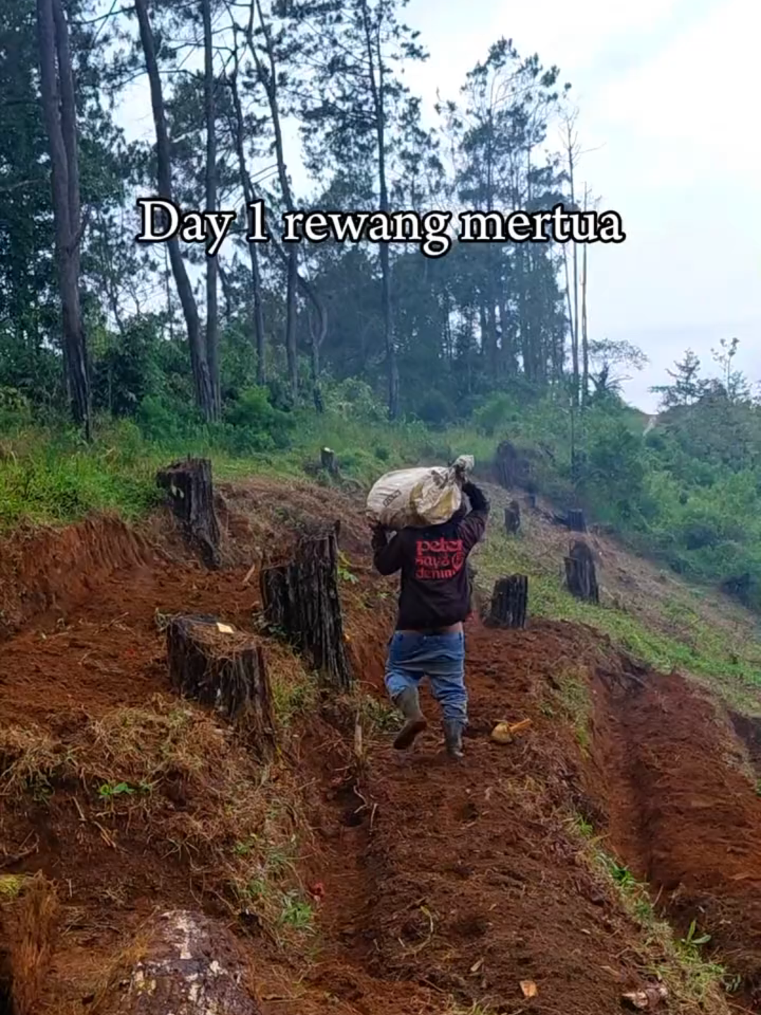 pov #reboisasi🌱👍 #petaniindonesia🇮🇩🇮🇩🇮🇩🌿🌿 #fyp #petanimuda #semangat 
