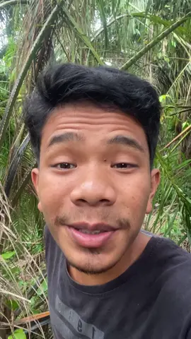 Maidiaho#tapselmandailing #fyppppppppppppppppppppppp 