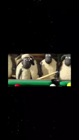 #duet cùng @𝒱𝒶𝓃𝓱༺ chủ nào cừu đấy :)))#capcut #captain boy #hoangducduy #hoangducvua11th6 #duck di #xuhuong #tiktok #viral @CAPTAIN BOY