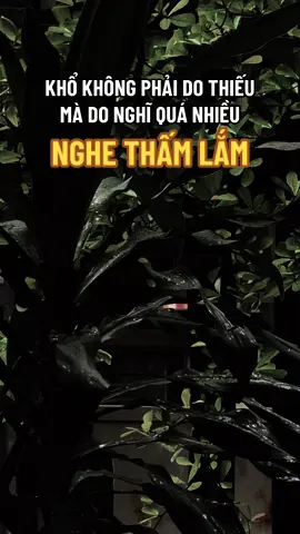 Khổ vì do nghĩ quá nhiều#ngộ_để_an #phatphapnhiemmau #cliptrieuview #xuhuongtiktok #trending 