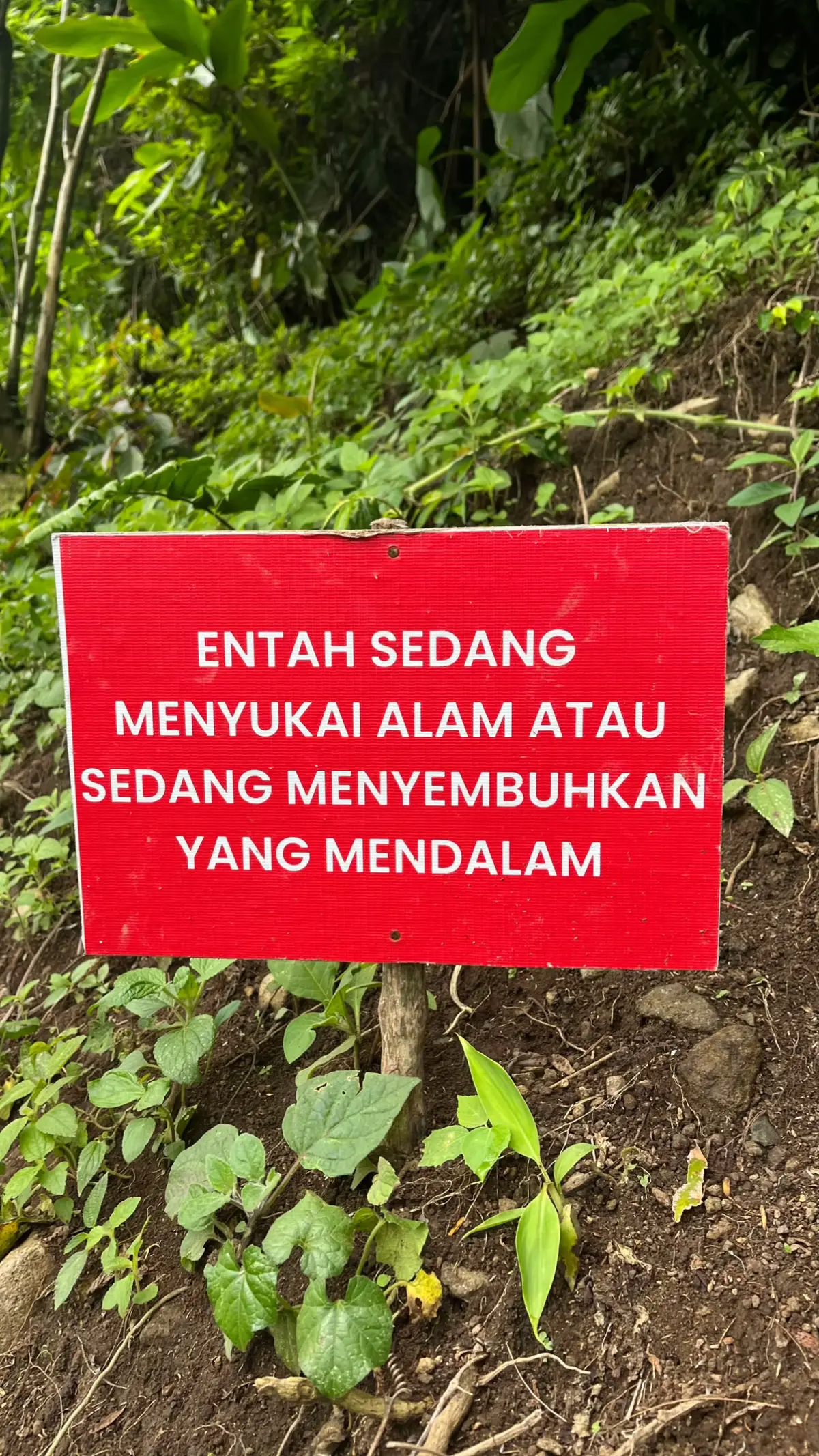 #fyp #trending #viral #curugsejoli #gunungkhayangancipamingkis 