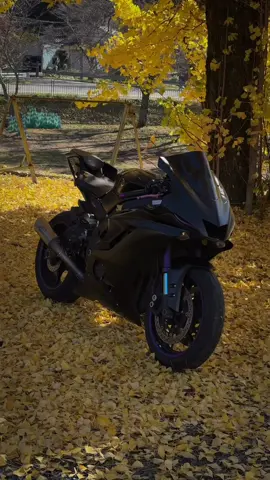 Yamaha R6 #yamahar6 #yamahar1 #yamahar1m #motorcycle #bike 