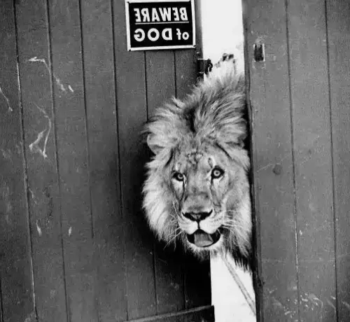 #power #motivation #sad #views #foryou 