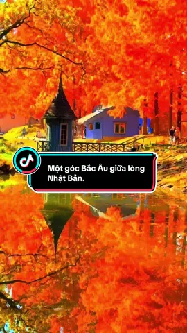 あけぼの子どもの森公園って、本当に物語の世界みたい… Lá vàng, gió nhẹ và một góc Bắc Âu giữa lòng Nhật Bản. Mùa thu ở đây đẹp như bước vào một câu chuyện cổ tích. #あけぼの子どもの森公園 #autumninjapan #akebono #muathunhatban #japanautumn 