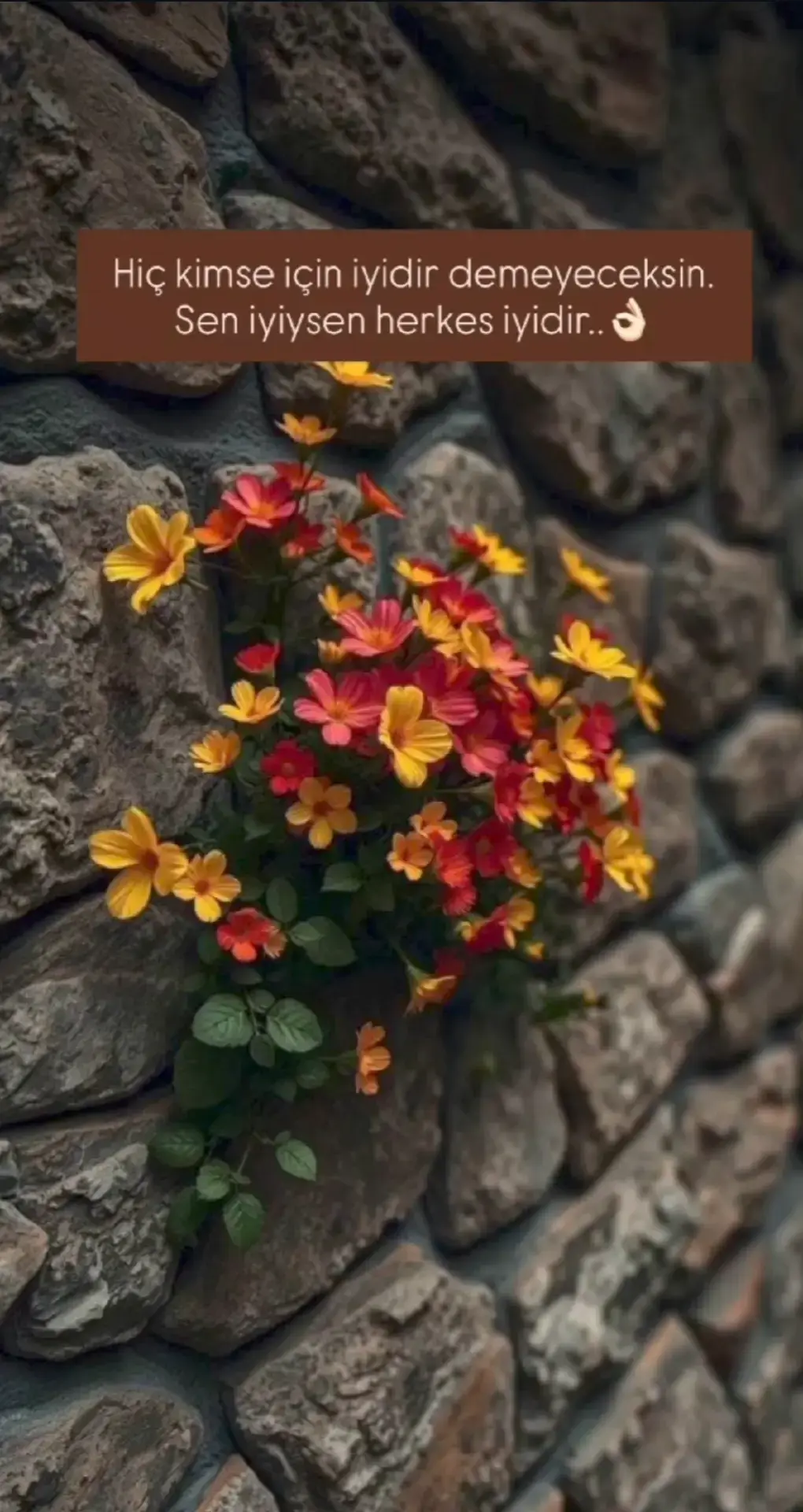 #🌹🌹🌹🌹🌹🌹🌹🌹🌹🌹🌹🌹  #manisa45  #manisa  #izmirli  #izmir35 