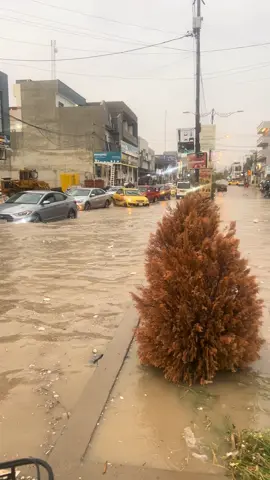 #الشعب_الصيني_ماله_حل😂😂 #بحيره_حمرين_ديالى_السعديه_قضاء_خانقين #الموصل_ام_الربيعين #غركنا_عمو_سامي #الموصل_دهوك_اربيل_بغداد_كركوك 