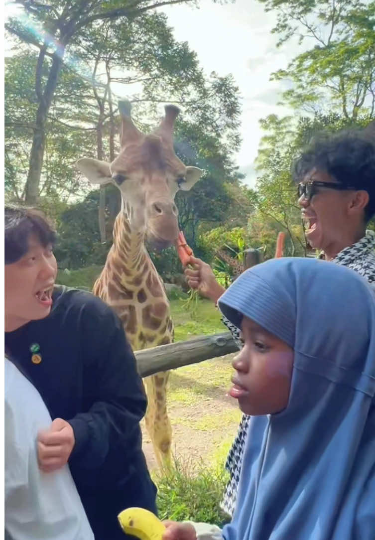 Enak banget kerjaiin @WILLIE SALIM 