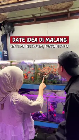DATE IDEA DI MALANG, MURMER TETEP SERUU‼️ Apalagi makan nya order di Aci Food yg skrg lagi promo 100% GRATIS ONGKIR (gaada batasan pemakaian) #wisatamalang #splendid #splendidmalang #pasarbungamalang #pasarhewanmalang     