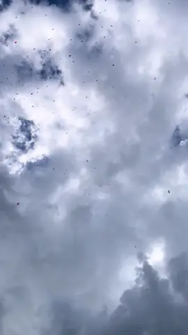 #layangacehrayeuk #kroasia🇭🇷 #kroasia🇭🇷 #layanganputus 