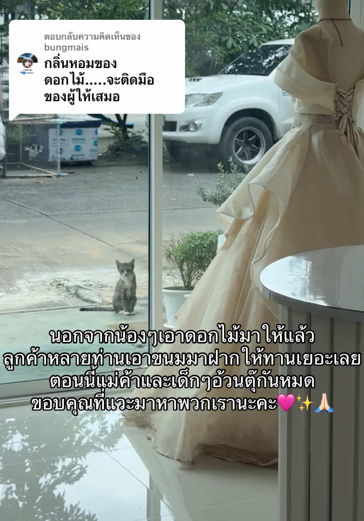 ตอบกลับ @bungmais มาอัพเดทเด็กๆให้แม่ๆหายคิดถึงกันค่า เด็กๆเปิดเทอมเลยหายหน้าหายตาไปบ้างน้าา🥰🩷@TIANA-เช่าชุดราตรี #เช่าชุดร้านเทียน่า #เช่าชุดราตรี #ร้านเทียน่า 