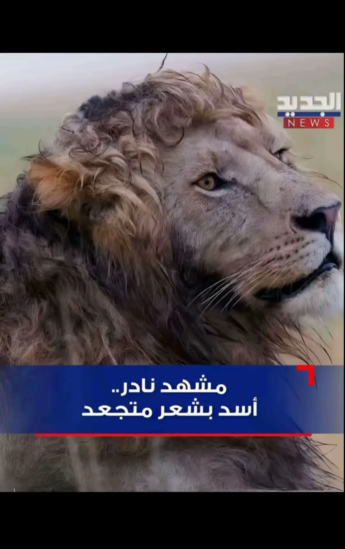 #حسن #بغداد #CapCut 