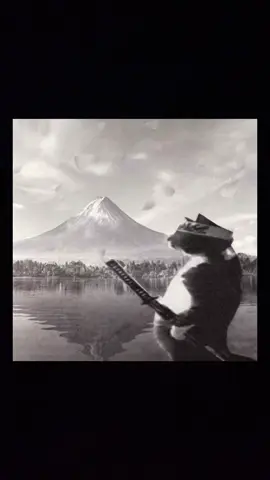 Mfs out here making Mcpotle’s and shii  #chipotle #mcdonalds #badeats #fyp #blowthisup 