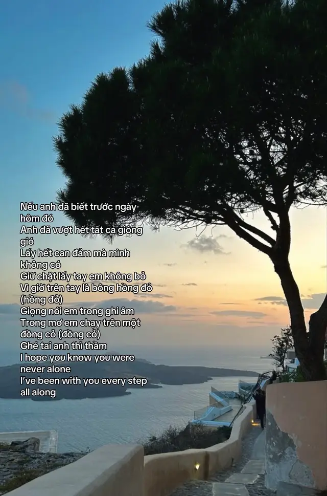 #viral #fyp #xuhuong 